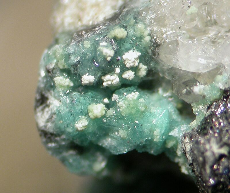 Bottinoite