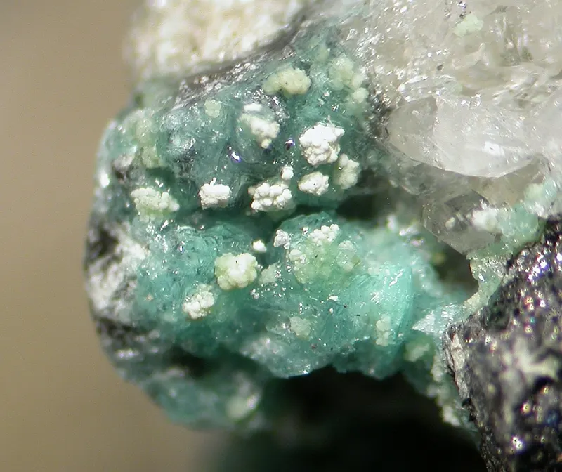 Bottinoite-402628.jpg