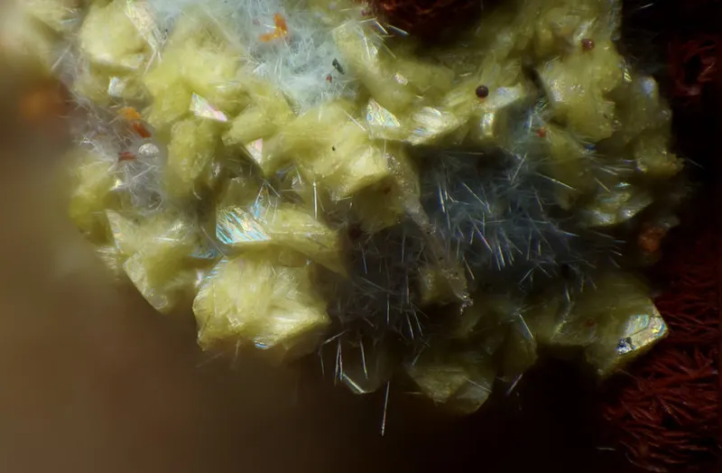 Graulichite-(La) with agardite-(La).jpg