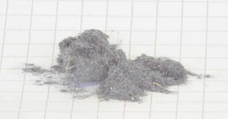 Plumosit 2.jpg