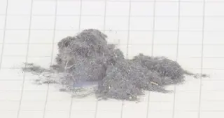 Plumosit 2.jpg