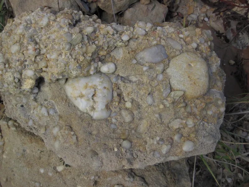 Quartz-pebble conglomerate ("Sharon" Conglomerate, Lower Pennsylvanian; Jackson North roadcut, Ohio, USA) 29 (37284455770).jpg