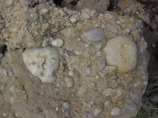 Quartz-pebble conglomerate ("Sharon" Conglomerate, Lower Pennsylvanian; Jackson North roadcut, Ohio, USA) 30 (36832950414).jpg