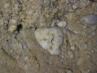 Quartz-pebble conglomerate ("Sharon" Conglomerate, Lower Pennsylvanian; Jackson North roadcut, Ohio, USA) 31 (37542886811).jpg