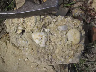 Quartz-pebble conglomerate ("Sharon" Conglomerate, Lower Pennsylvanian; Jackson North roadcut, Ohio, USA) 32 (36832936144).jpg
