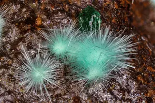 Agardite-(Nd).jpg