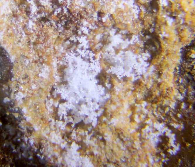 Boyleite