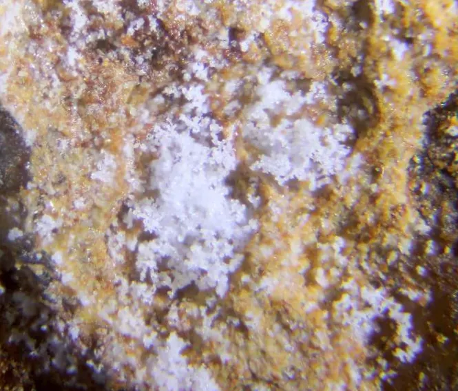 Boyleite.jpg