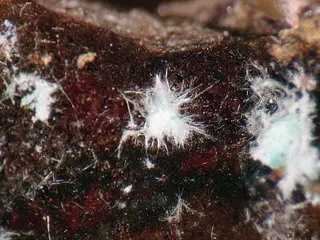 Agardite-(Y).jpg