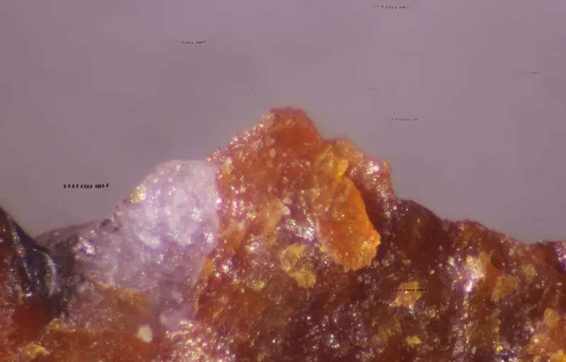 Braccoite.jpg