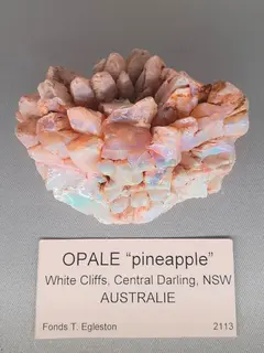 Opal Pineapple, Musee de Mineralogie, Paris, 2025.jpg
