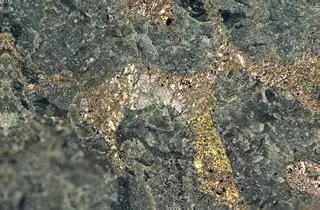 Braggite ((Pt,Pd,Ni)S) in sulfidic serpentinite (platinum-palladium ore) (Johns-Manville Reef, Stillwater Complex, Neoarchean, 2.71 Ga; Stillwater Mine, Beartooth Mountains, Montana, USA) (14808934796).jpg
