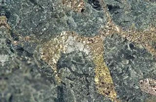Braggite ((Pt,Pd,Ni)S) in sulfidic serpentinite (platinum-palladium ore) (Johns-Manville Reef, Stillwater Complex, Neoarchean, 2.71 Ga; Stillwater Mine, Beartooth Mountains, Montana, USA).jpg