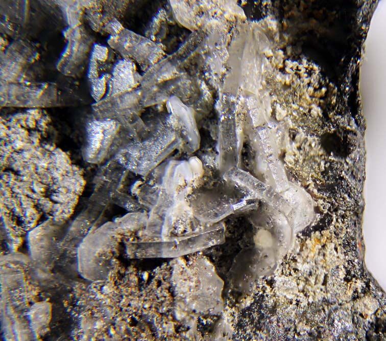 Brandholzite