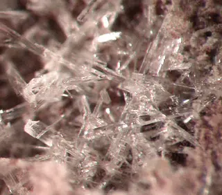 Brandtite-266924.jpg