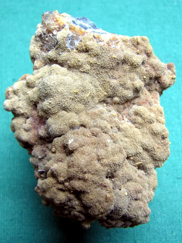 MIESIT aus MIES 0068.jpg