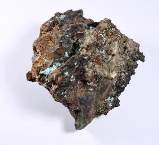 Agardit 4962 2.jpg