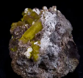 Charlesite1.jpg