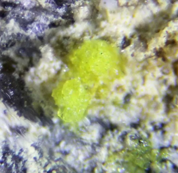 Agricolaite.jpg