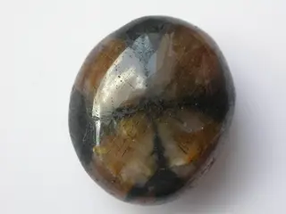 Chiastolite.JPG