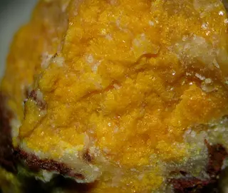 Agrinierite-522421.jpg