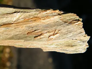 Brucite (variety Nemalite)-346840.jpg
