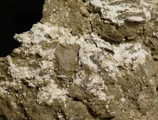 Brushite, Montmorillonite-445846.jpg