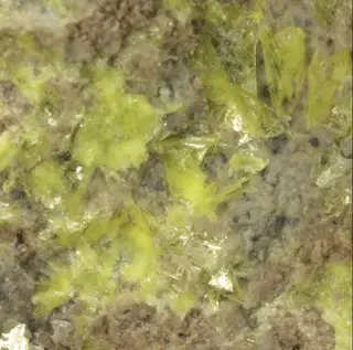 Metaheinrichite-1130873.jpg