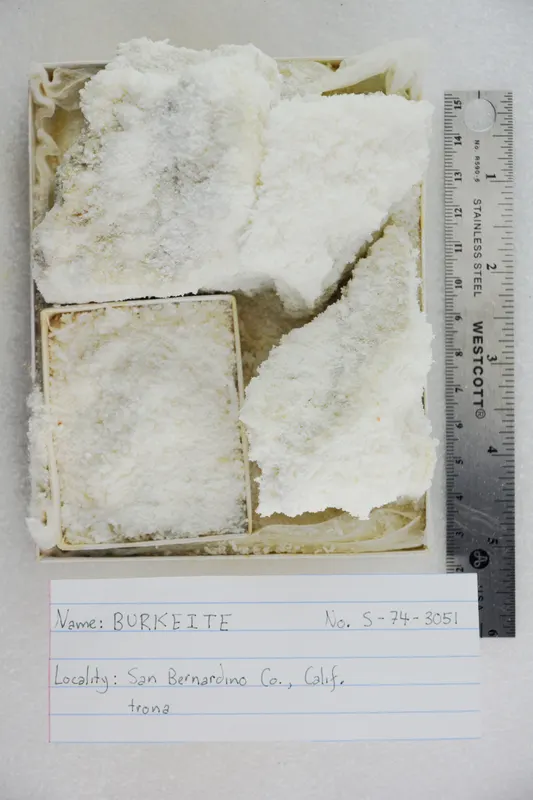 Burkeite (48140180927).jpg