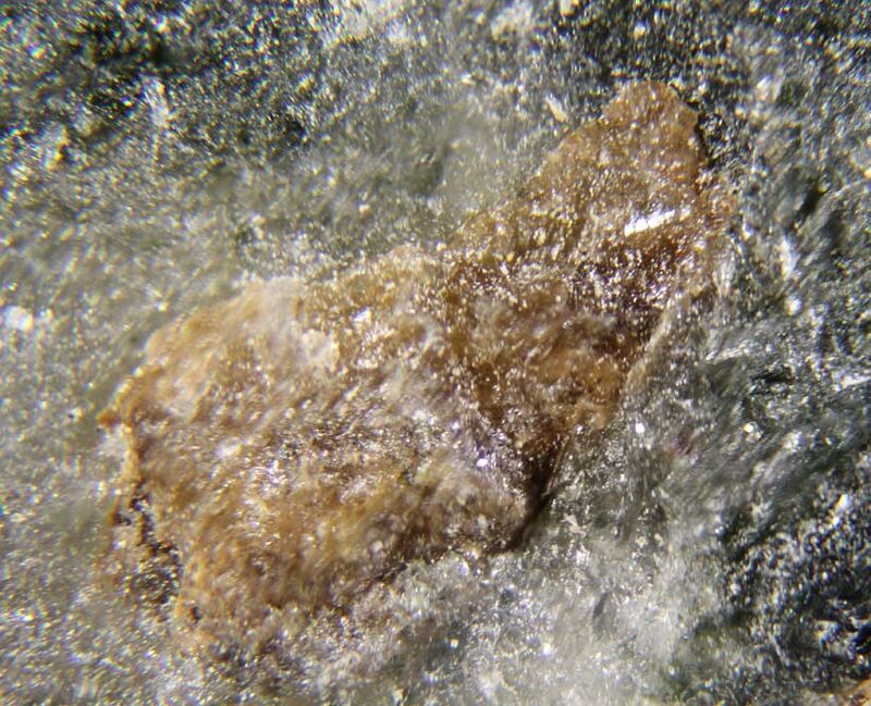 Burpalite