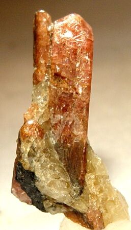 Bustamite