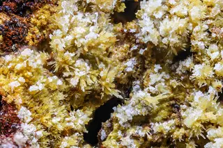 Ordonezite17258-0.jpg