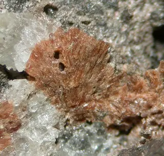 Cabalzarite-459635.jpg