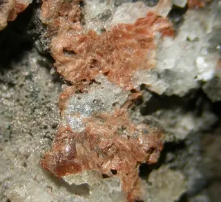 Cabalzarite-459636.jpg