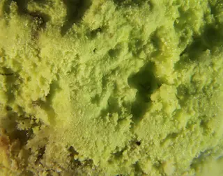 Cadwaladerite.jpg