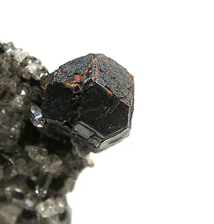 Cafarsite-mix12b.jpg