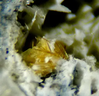 Cafetite, Lizardite-529436.jpg