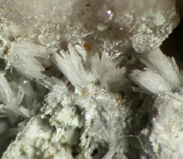 Calcioancylite-(Nd)