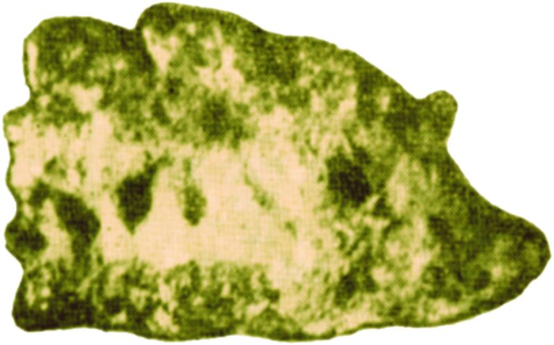 Calciocopiapite