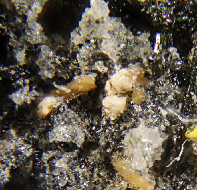 Calciohilairite