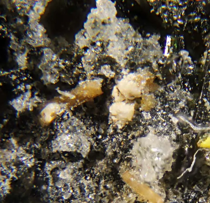 Calciohilairite.jpg