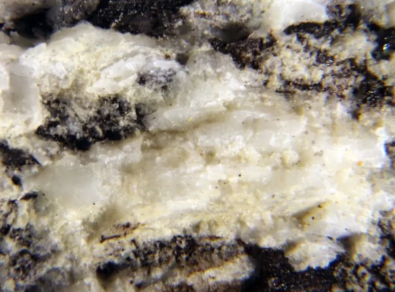 Calciotantite.jpg