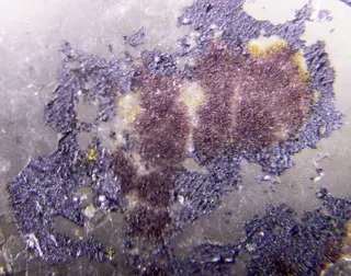 Cesplumtantite, Lithiotantite & Calciotantite.jpg