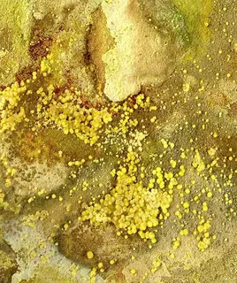 Umohoite-Calcurmolite-201161.jpg