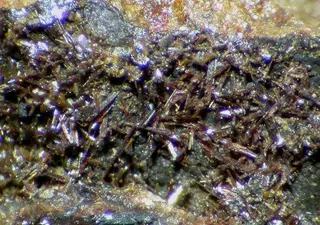 Calderonite-109573.jpg