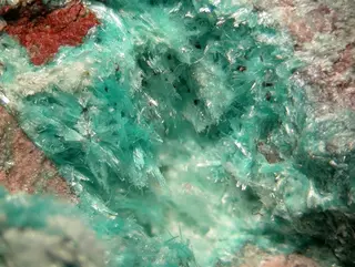 Ajoite-113785.jpg