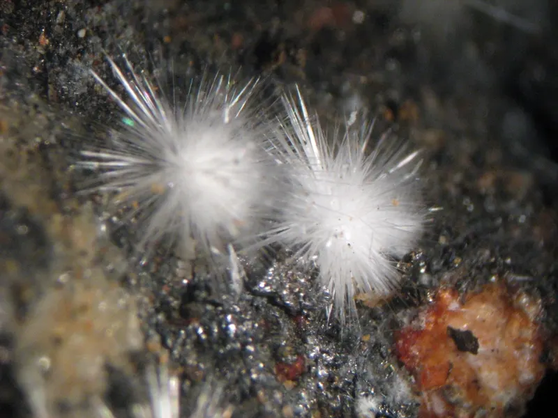 Canavesite-380316.jpg