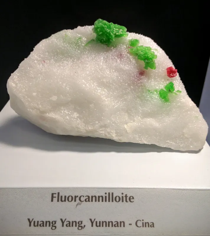 Fluorcannilloite.jpg
