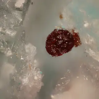 Canutite.jpg