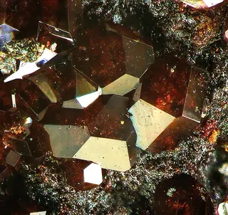 Caracolite-896883.jpg